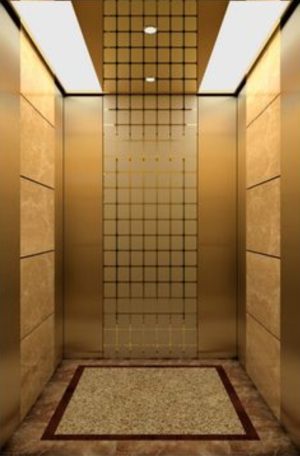 HISA PASSENGER ELEVATOR
