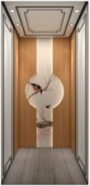 HISA HOME / VILLA ELEVATOR